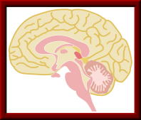 �]�C���[�W